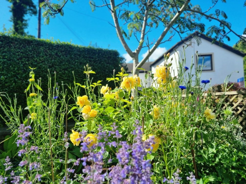 Mellor & Clayton-le-Dale Gardens